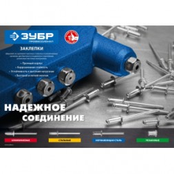 Заклепки нержавеющие Профессионал (500 шт; 4.8х12 мм) Зубр 31316-48-12